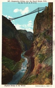 Vintage Postcard 1956 Suspension Highest Bridge over the Royal Gorge Colorado CO