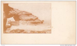 Alligator Head Rock Formation , LA JOLLA ,California , Pre-1907