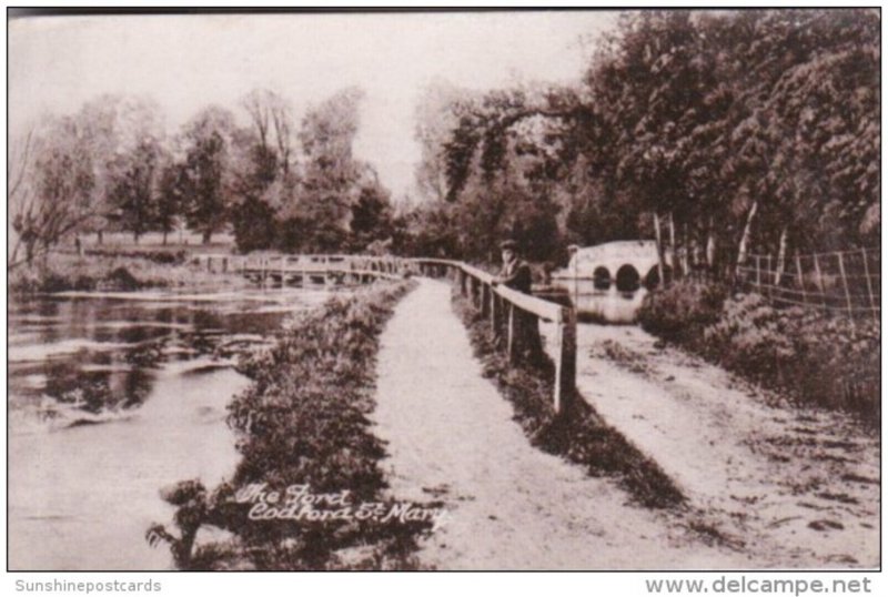 England The Loret Codford St Mary