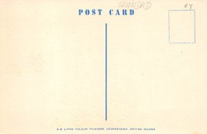 Indian Man Trinidad Postcard