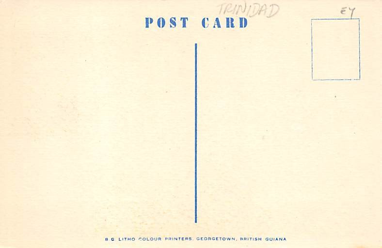 Indian Man Trinidad Postcard