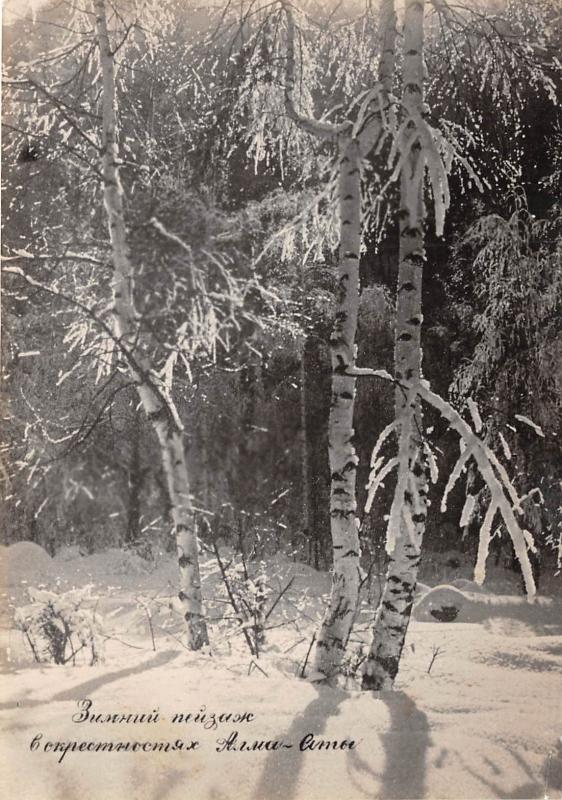 B56588 Winter landscape Arbress tree alma ata kazakhstan