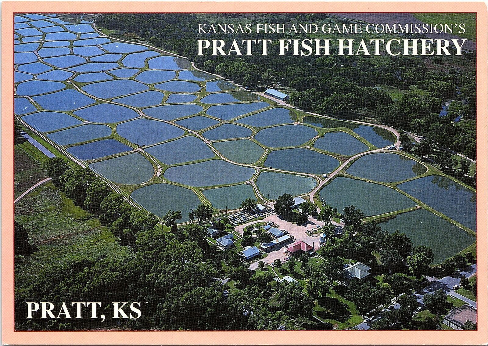Vintage Continental Size Postcard Pratt Fish Hatchery Kansas Fish and