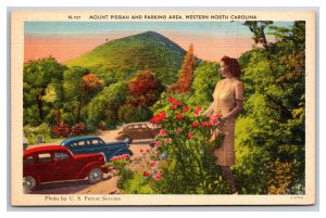 Mount Pisgah and Parking Area Western North Carolina NC Linen Postcard Y13