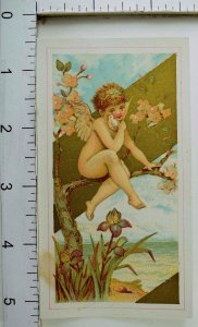 1870's-80's Victorian Trade Card Cherub Holding Bird Blossoms Irises P41