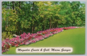 Macon Georgia~Magnolia Courts & Grill~Azaleas in Bloom~Vintage Postcard