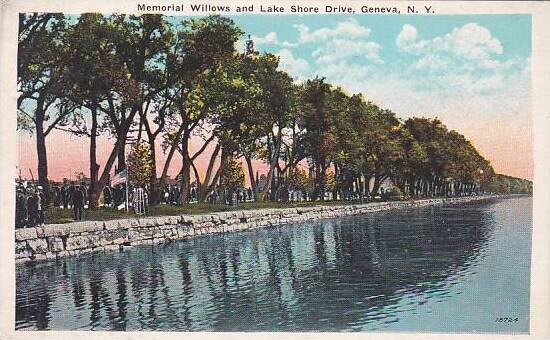 New York Geneva Memorial Willows And Lake Shore Drive