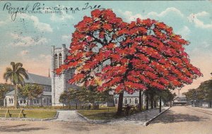 Postcard Episcopal Church Honolulu HI