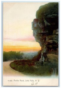 c1905 Profile Rock Little Falls New York NY Unposted Rotograph Postcard