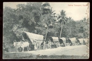 Ceylon  Ethnic Vintage Postcard  Native transport used to Germany Fresh