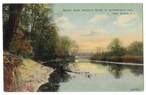 Bridge Over Passaic River, Pine Brook, New Jersey Unused Divided Back Postcard