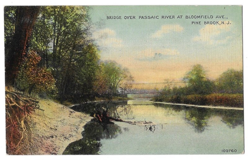 Bridge Over Passaic River, Pine Brook, New Jersey Unused Divided Back Postcard
