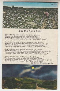P2263, vintage postcard the old north star where cotton blooms white