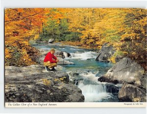 Postcard The Golden Glow of a New England Autumn, New England