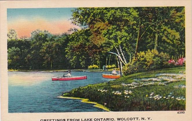 New York Greetings From Lake Ontario Wolcott