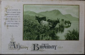 A Happy Birthday Cattle in Mountain Valley