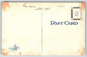 Road Runner and Rattlesnake in Finish Battle Postcard