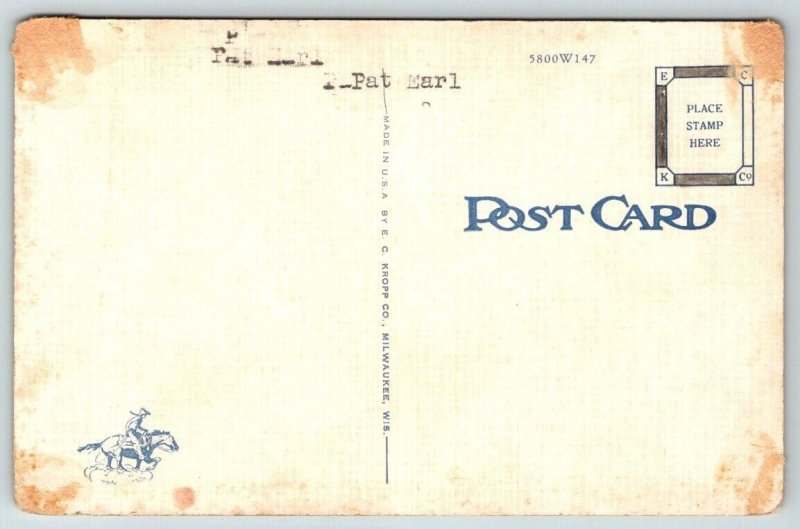 Road Runner and Rattlesnake in Finish Battle Postcard