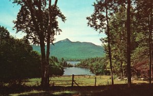 Postcard Mt. Chocorua Legend Several Versions Mysterious Deaths New Hampshire NH