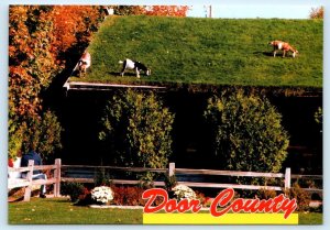 SISTER BAY, WI ~ Goats on Roof AL JOHNSON'S RESTAURANT Door County 4x6 Postcard