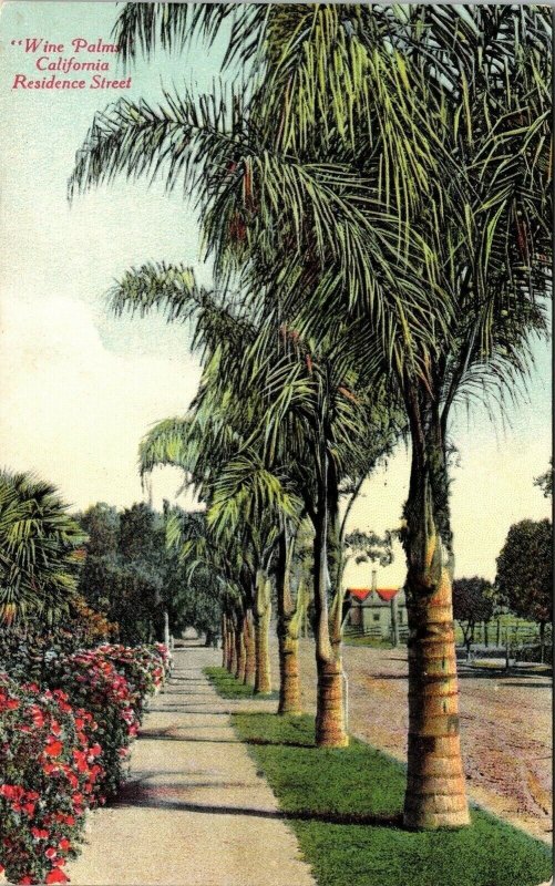 Wine Palms California Residence Street Postcard Divided Back UP Vintage Palm 