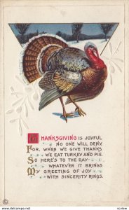 THANKSGIVING ; Turkey , 00-10s ; #4
