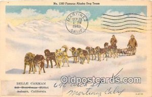 No 1393 Famous Alaska Dog Team 1949 postal marking on front, writing on front