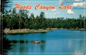 Woods Canyon Lake Central Arizona Trout fishing Camping Mogollon Postcard