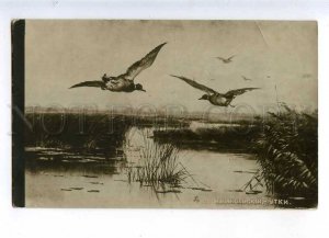231895 RUSSIA NIKOLSKIY duck HUNT Vintage postcard