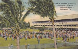 Florida Hallandale View Of Paddock Gulfstream Park Rave Course