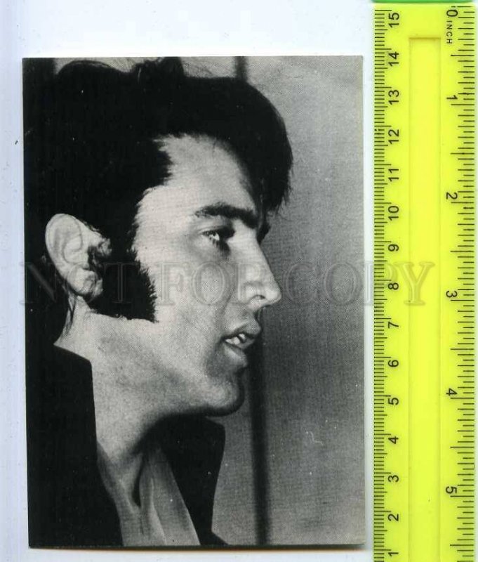 256090 Elvisly Yours Elvis PRESLEY American musician actor