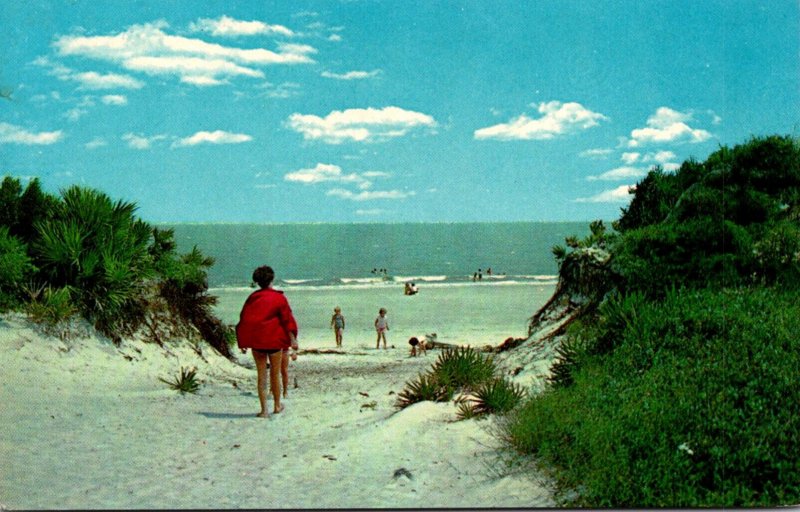 Georgia Jekyll Island Dunes and Ocean At Jekyll Island State Park