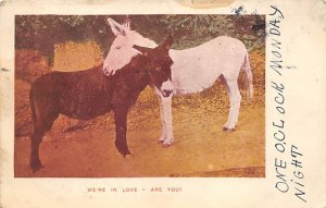 We're in Love Donkey 1905 writing on front, stains on card