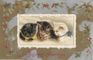 Three Christmas Cats w ribbon1909 ae107 postcard