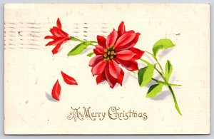 1910's A Merry Christmas Poinsettia Flowers Greetings & Wishes Posted Postcard