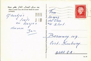 PC CPA SAUDI ARABIA, AFTER THE CAMEL RACE, Modern Postcard (B3794)