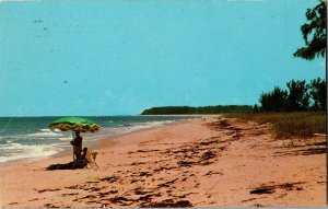 Scenic View Ft. Pierce Beach FL Vintage Postcard A55