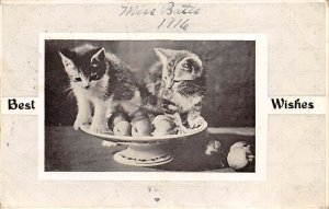 Best Wishes Cat 1911 writing on front