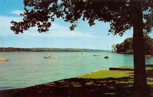 New York NY   SKANEATELES LAKE~Finger Lakes    Sailboats & Shoreline   Postcard