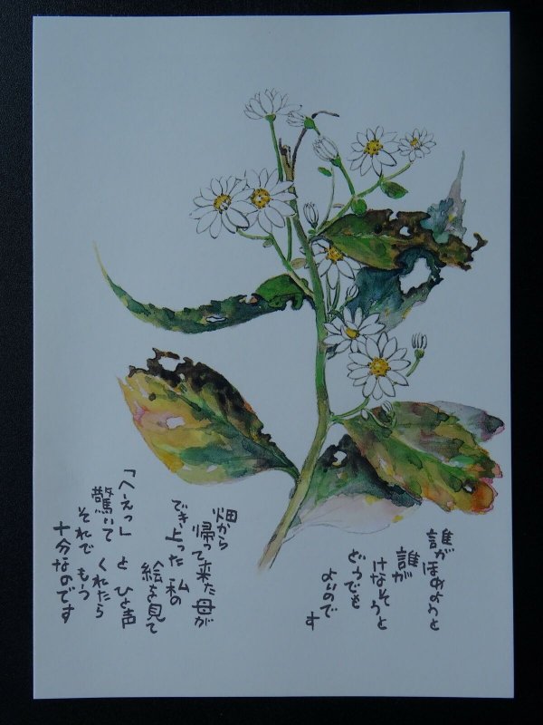 AUTUMN FLOWER Paintings Poems by Japanese Disabled Artist Tomihiro Hoshino PC