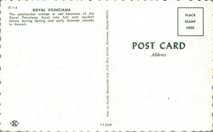 Hawaii Royal Poinciana Postcard 07.46