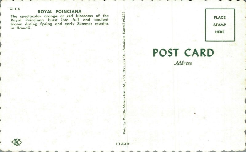 Hawaii Royal Poinciana Postcard 07.46