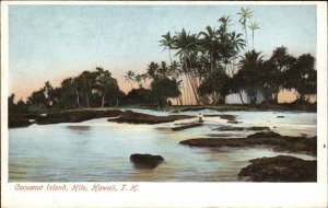Hilo Hawaii HI Coconut Island c1910 Vintage Postcard