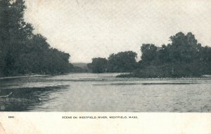 Vintage Postcard 1907 Seen On Westfield River Westfield Massachusetts N.E. Paper