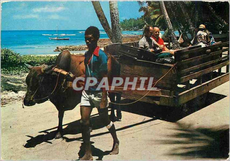 Modern Postcard Ox Cart La Digue Seychelles