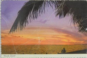 Beautiful Florida Sunset with Man Looking to Horizon - Vintage Postcard