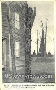 Historic Bullet Scarred Tree  - Bull Run, Virginia VA  