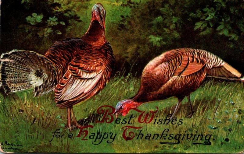 Thanksgiving With Turkeys 1909