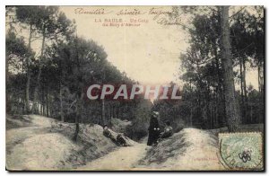 Old Postcard La Baule A Corner of Love Wood