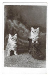 Brighton, England 1906 Real Photo Rotary postcard, 'Puss in Boots' ...